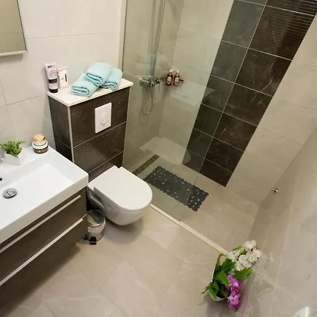 Toni 马卡尔斯卡