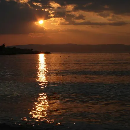 Toni * Makarska